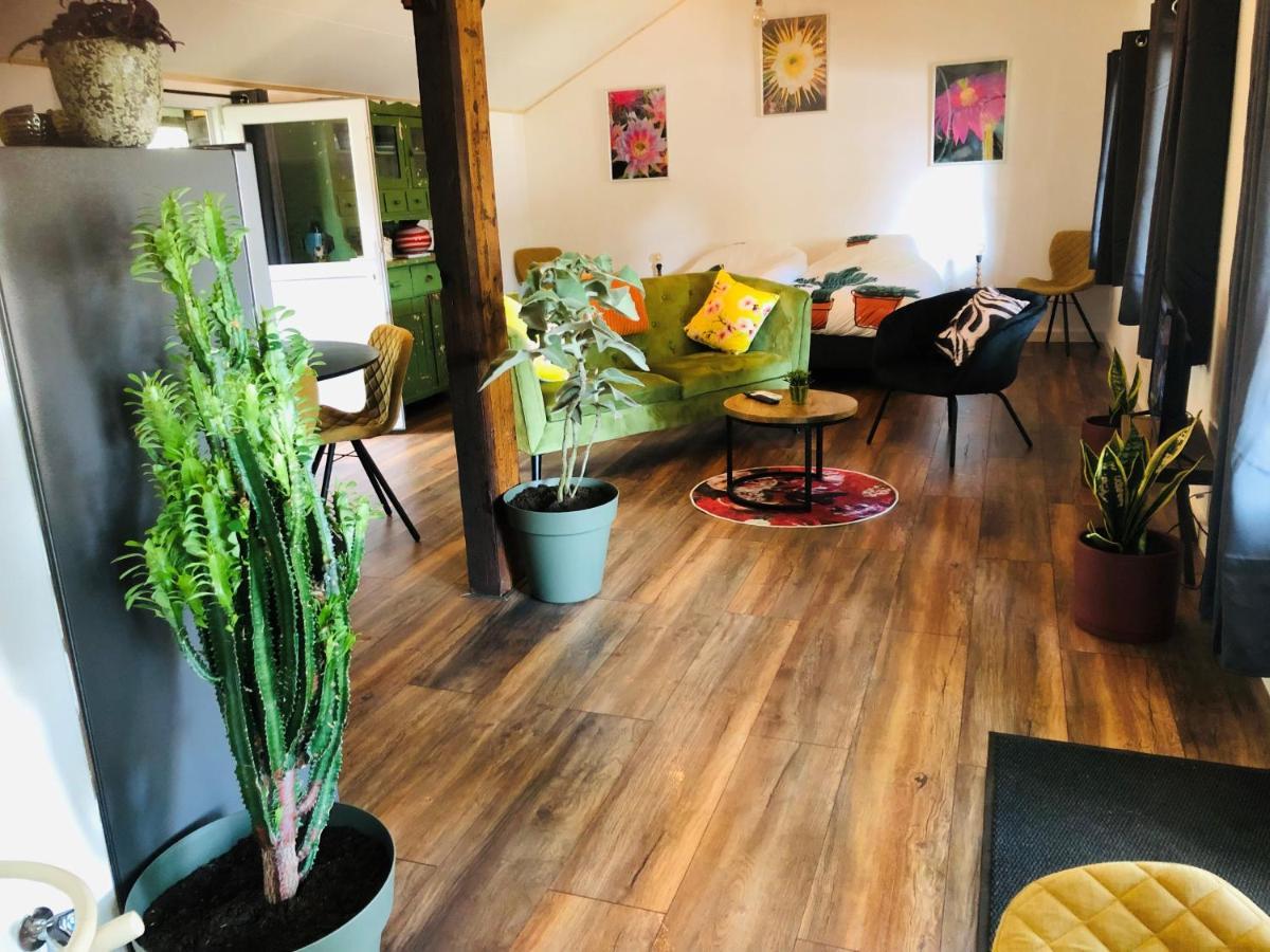 Bed and Breakfast B &B Yuupke Maasbree Noord-Limburg Venlo Roermond Экстерьер фото