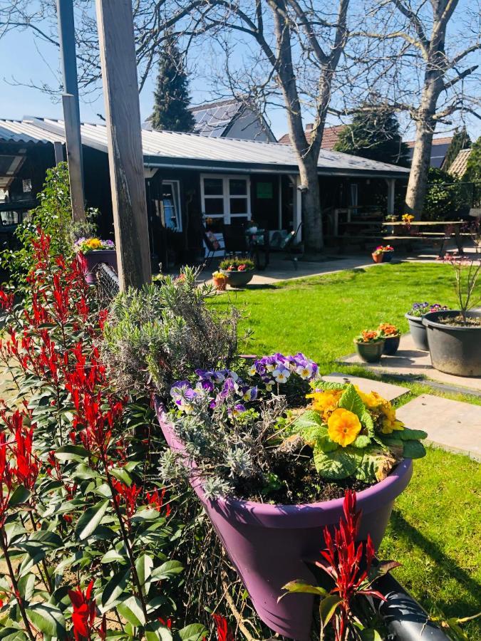 Bed and Breakfast B &B Yuupke Maasbree Noord-Limburg Venlo Roermond Экстерьер фото