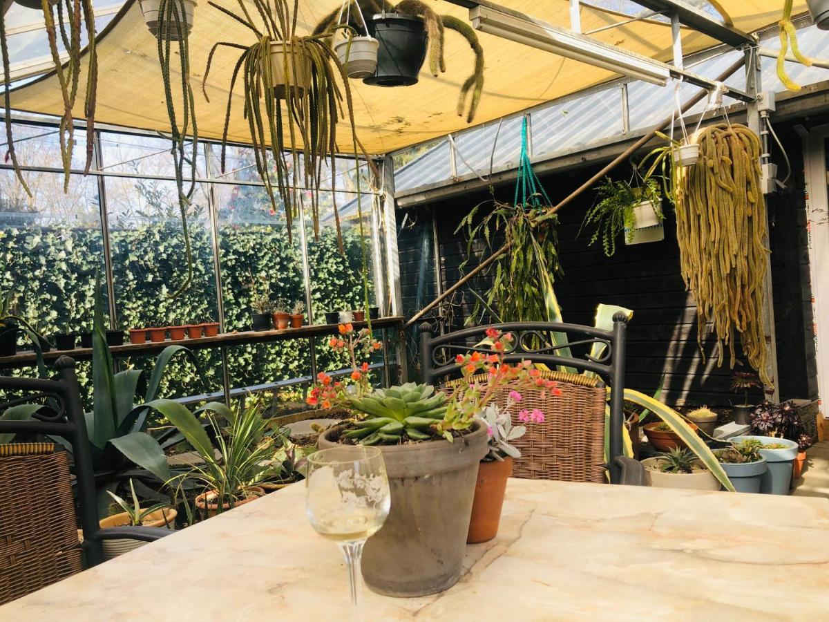 Bed and Breakfast B &B Yuupke Maasbree Noord-Limburg Venlo Roermond Экстерьер фото