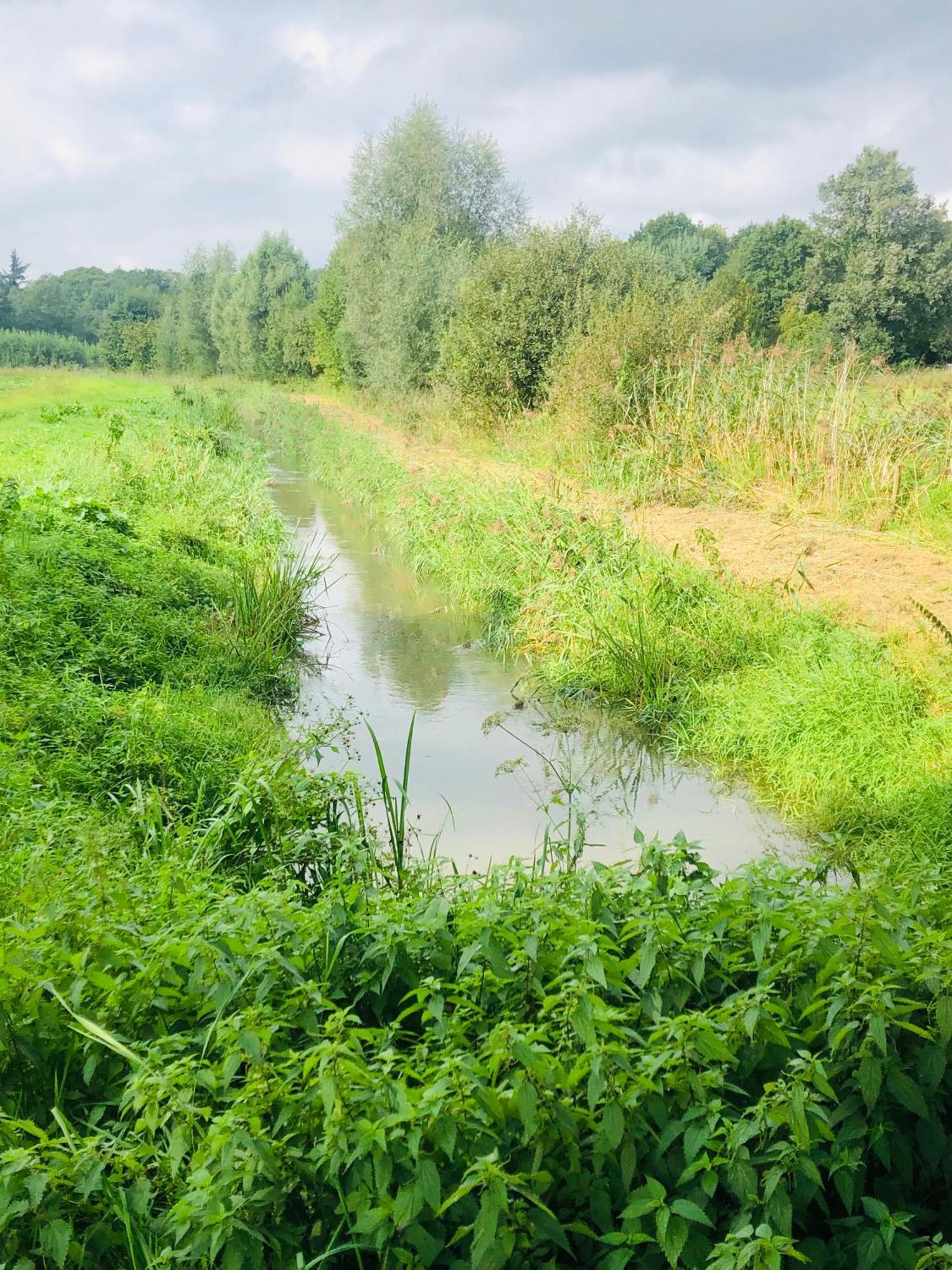 Bed and Breakfast B &B Yuupke Maasbree Noord-Limburg Venlo Roermond Экстерьер фото