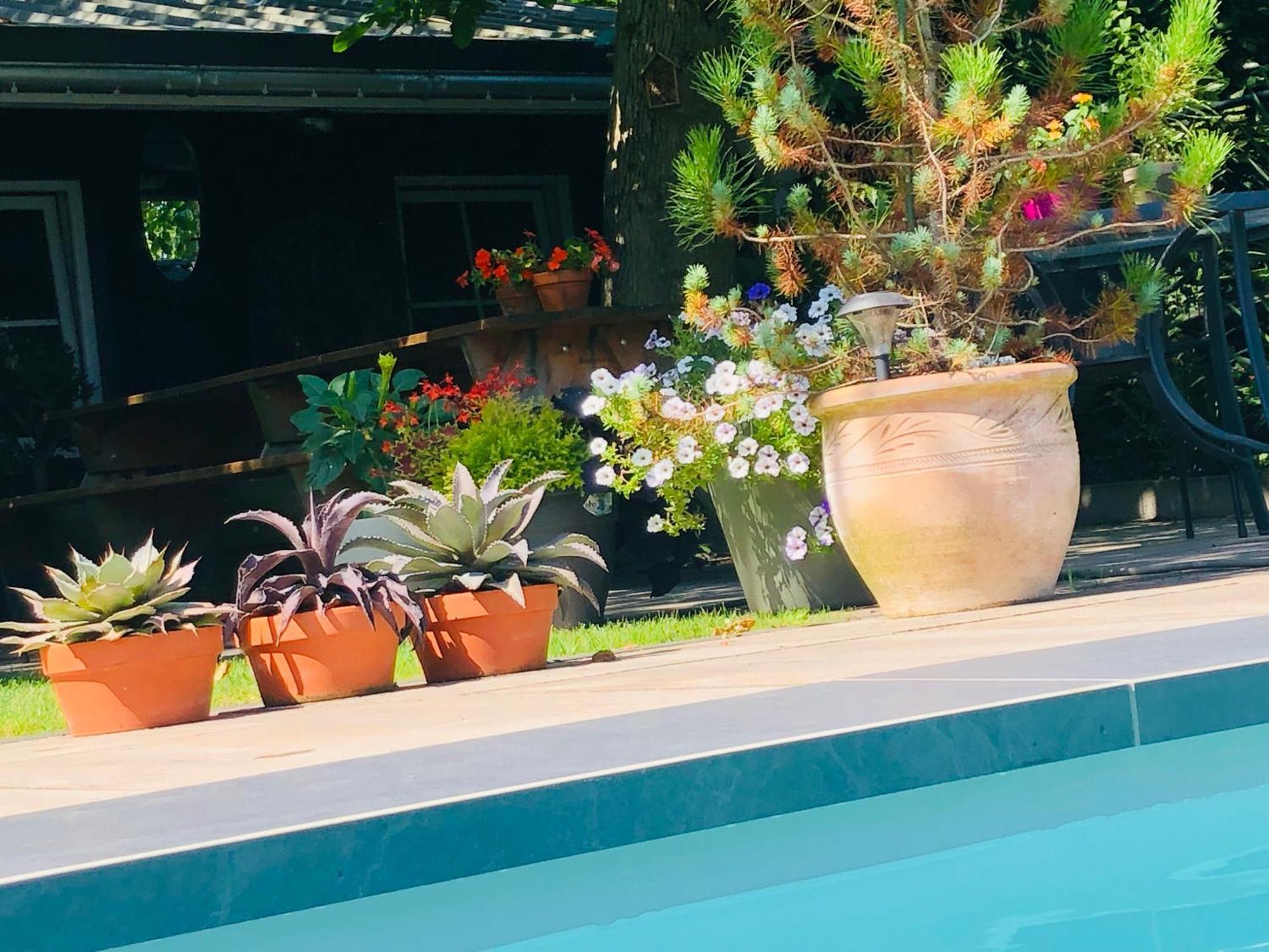 Bed and Breakfast B &B Yuupke Maasbree Noord-Limburg Venlo Roermond Экстерьер фото